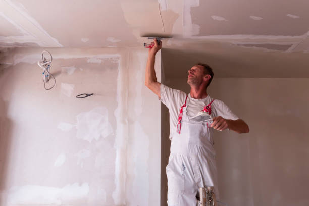 Best Water-Damaged Drywall Repair  in Venetian Vlage, IL